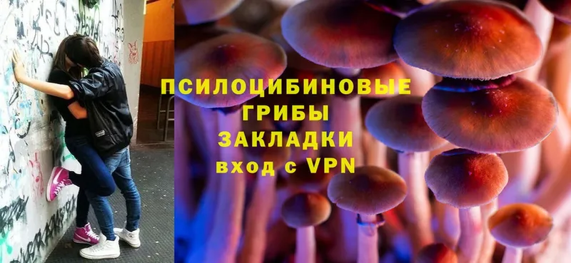 Псилоцибиновые грибы MAGIC MUSHROOMS  Кинель 